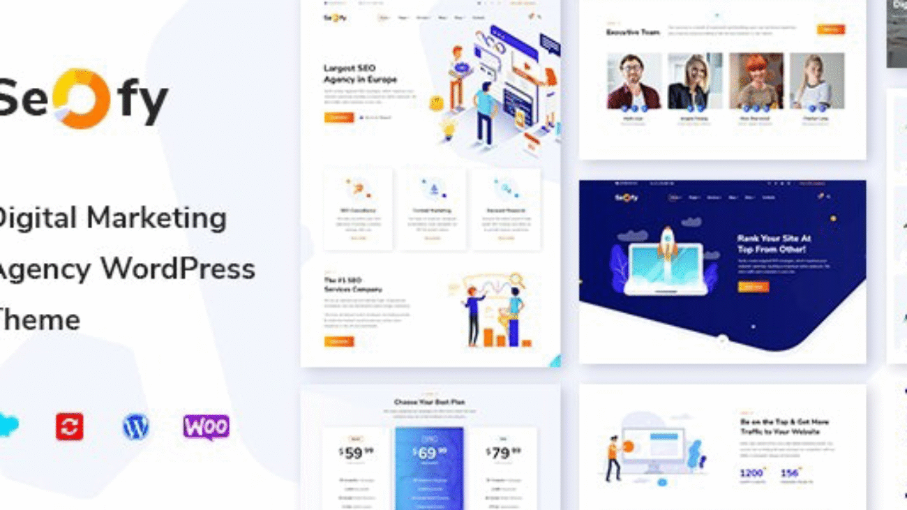 Seofy Digital & Marketing WordPress Theme